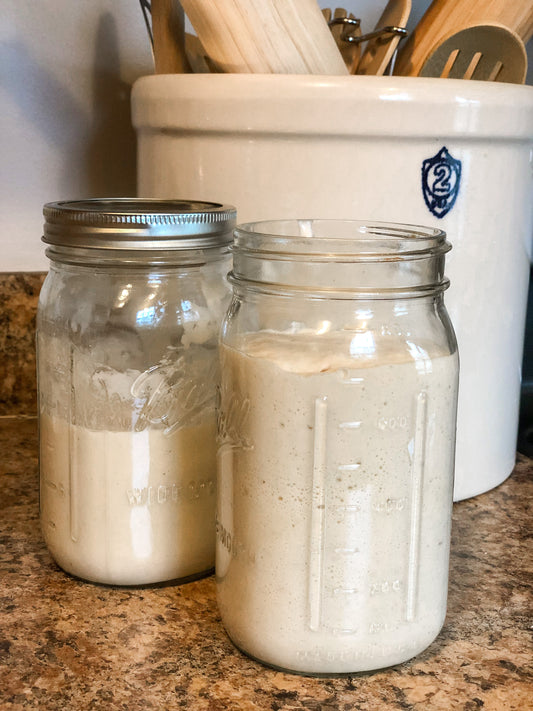 Sourdough Starter 101 - Using Cups