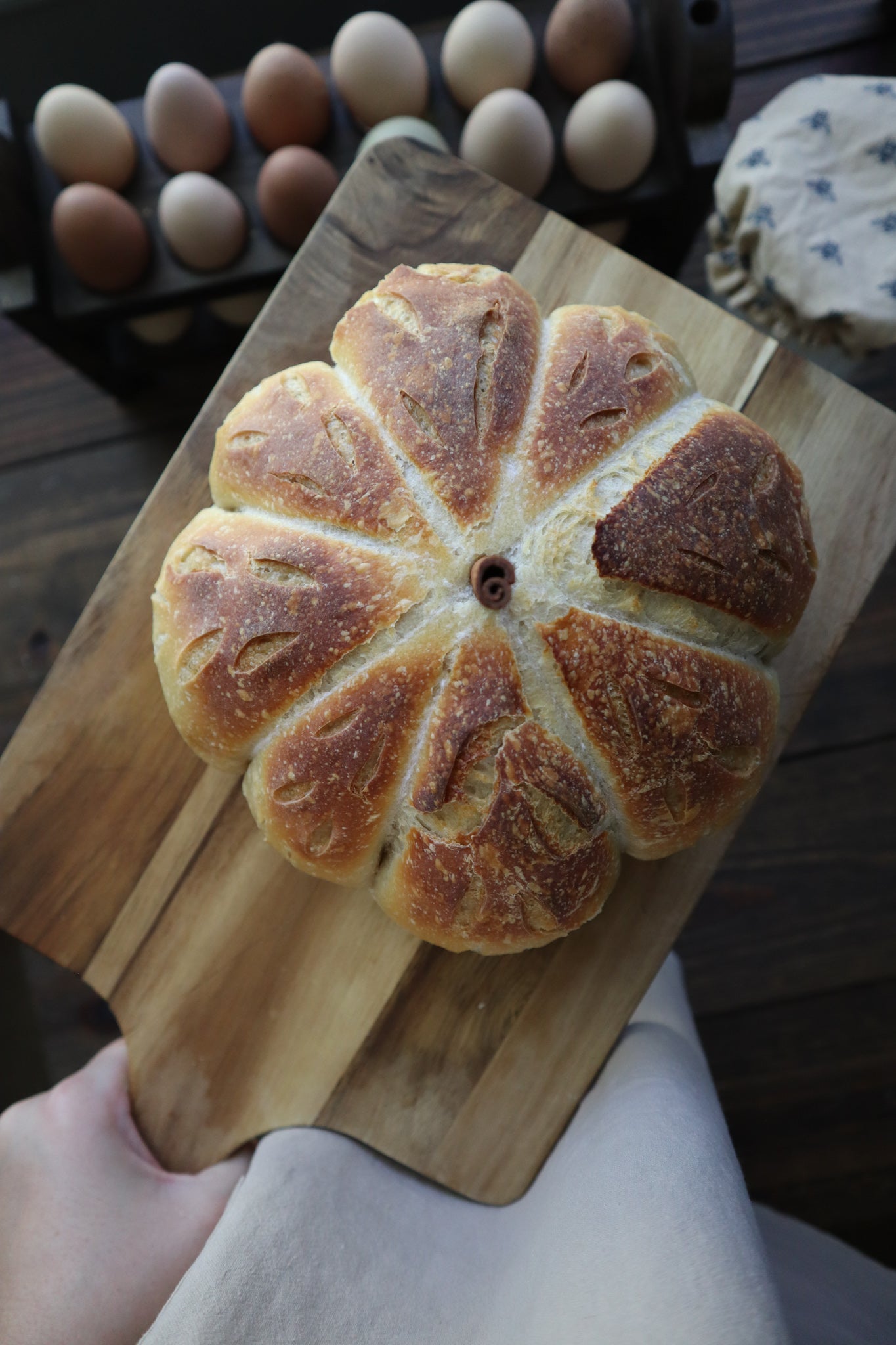 Dehydrated Sourdough Starter - Rehydration and Maintenance Instructions