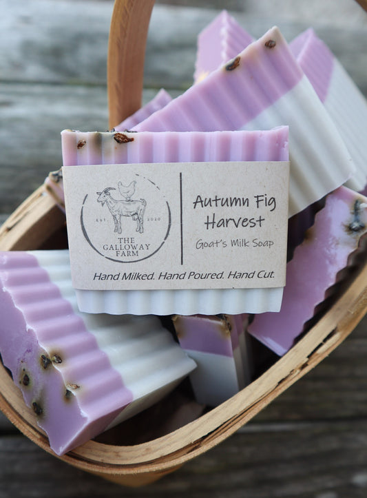 Autumn Fig Harvest Goat's Milk Soap