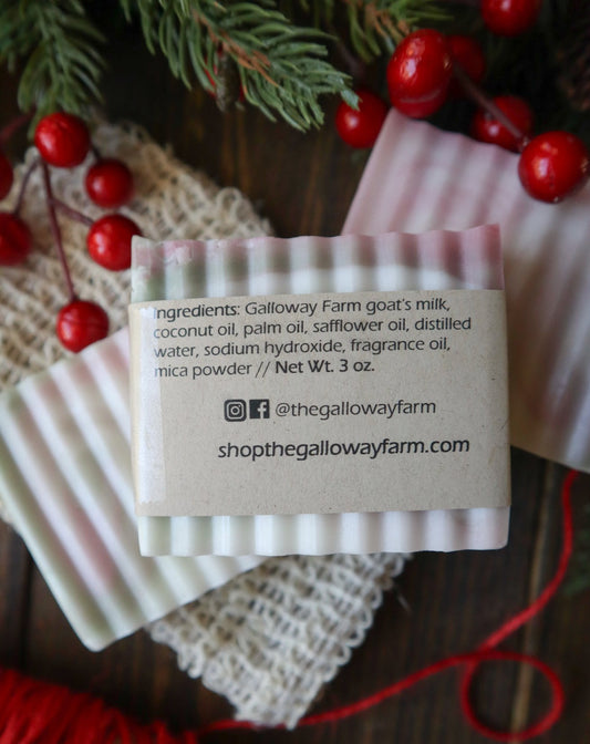 Winter Woods Goat's Milk Soap