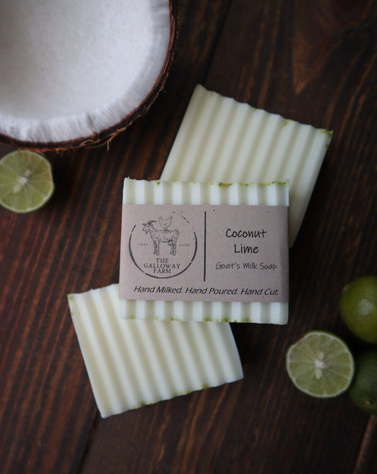 Coconut Lime Goat's Milk Soap
