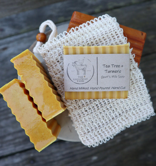 Tea Tree + Turmeric Goat's Milk Soap