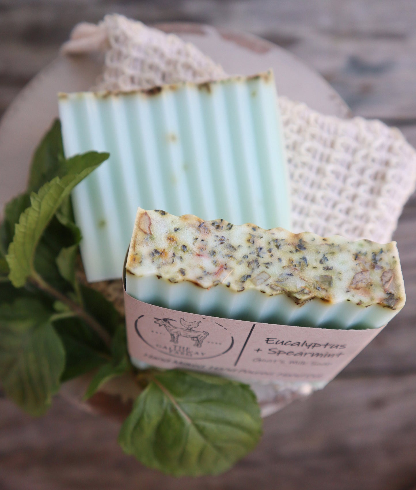 Eucalyptus + Spearmint Goat's Milk Soap