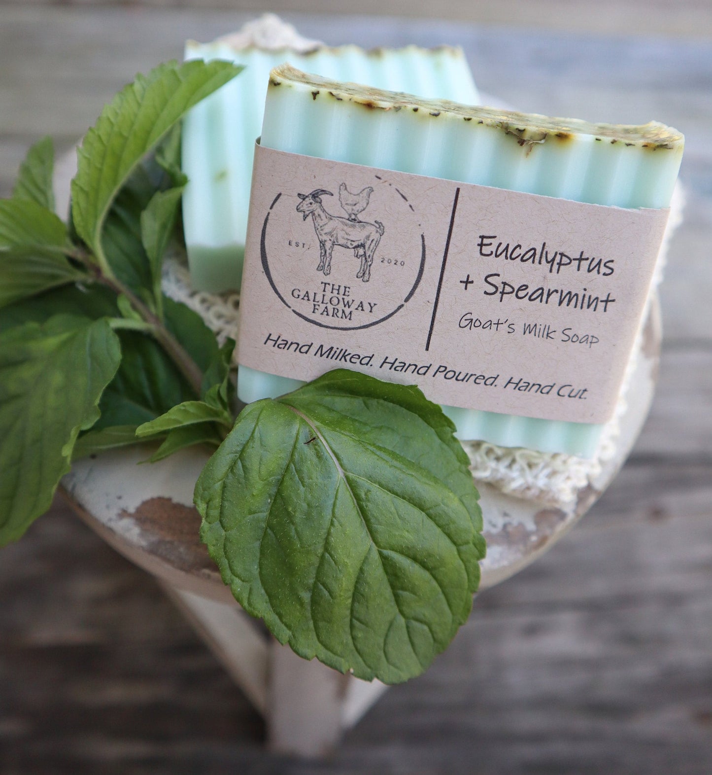 Eucalyptus + Spearmint Goat's Milk Soap