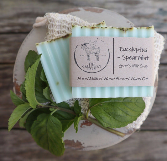 Eucalyptus + Spearmint Goat's Milk Soap
