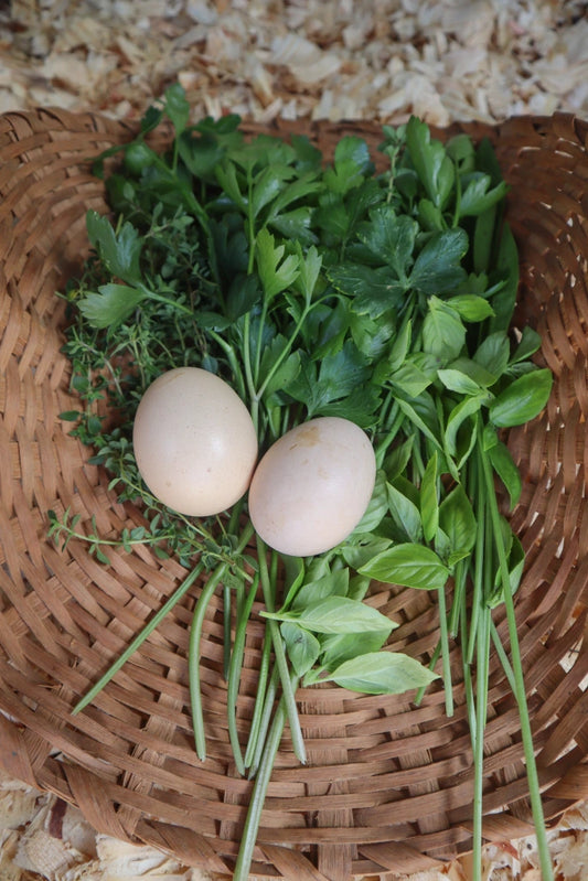 Using Herbs in Nesting Boxes - Herb Combinations for a Thriving Flock