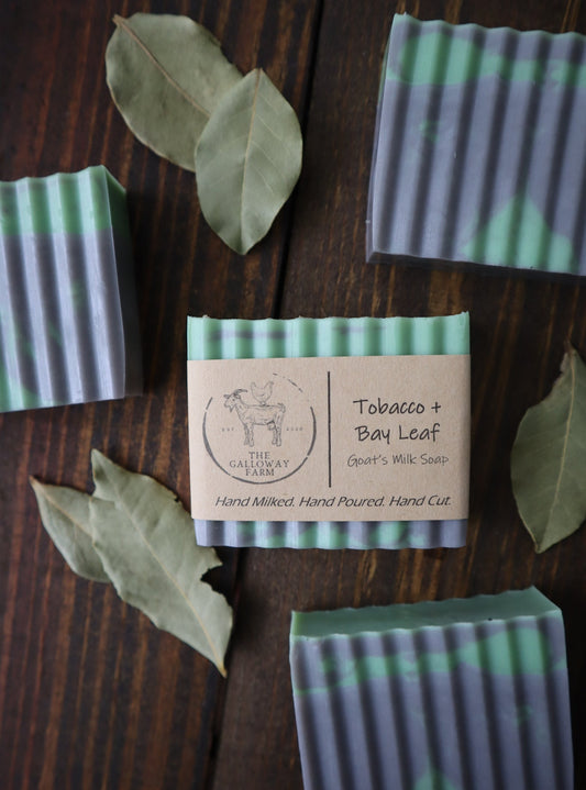 Tobacco + Bay Leaf Goat's Milk Soap