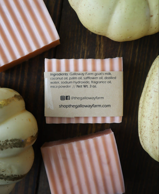 Pumpkin Sandalwood Goat's Milk Soap