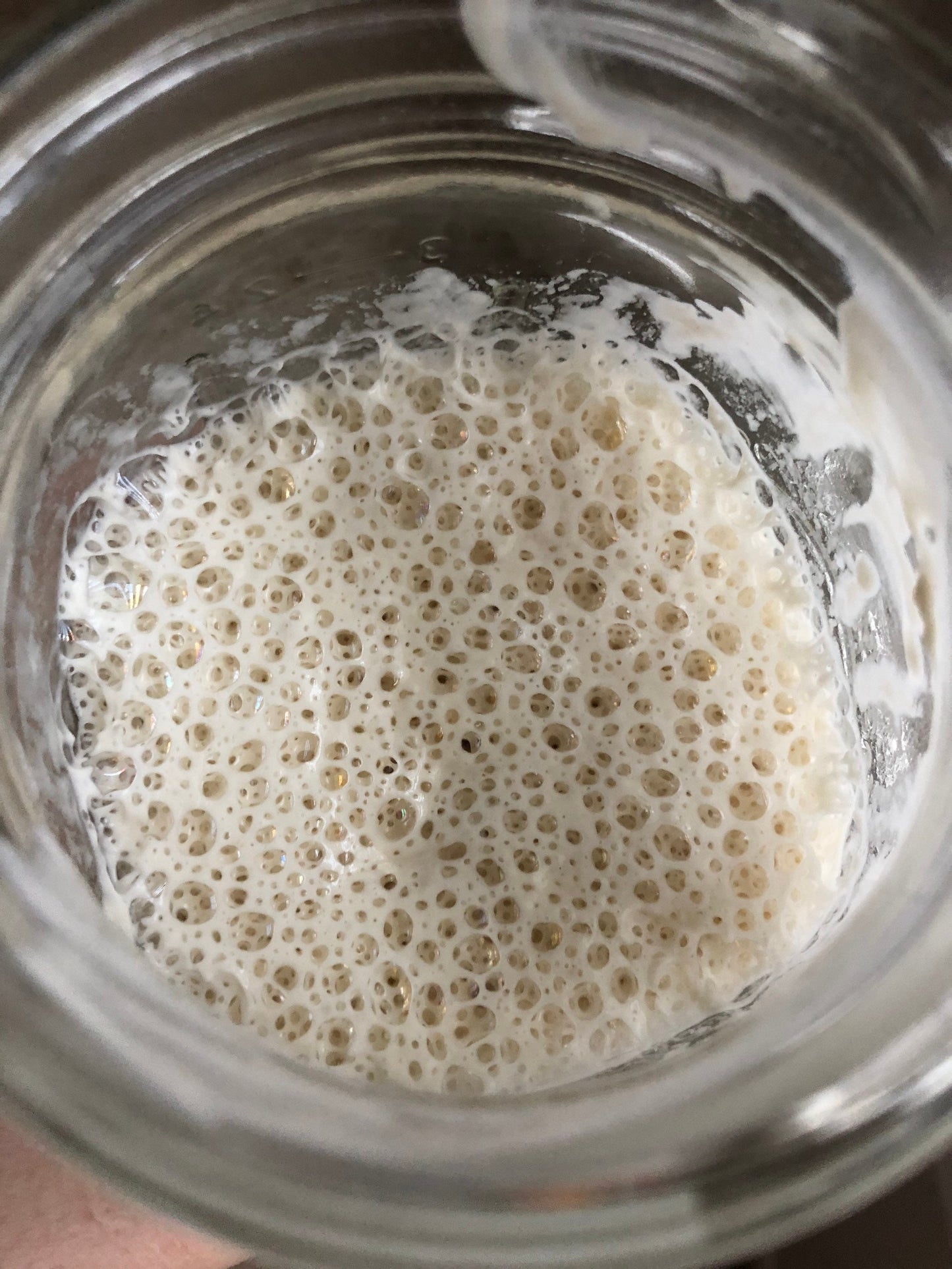 Dehydrated Sourdough Starter - Rehydration and Maintenance Instructions