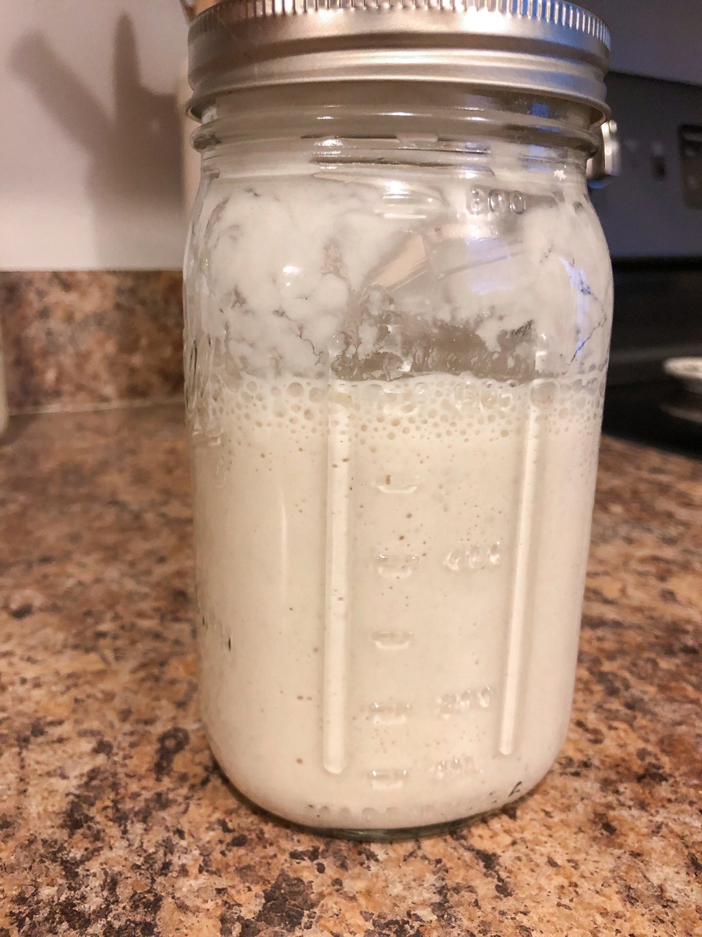 Dehydrated Sourdough Starter - Rehydration and Maintenance Instructions