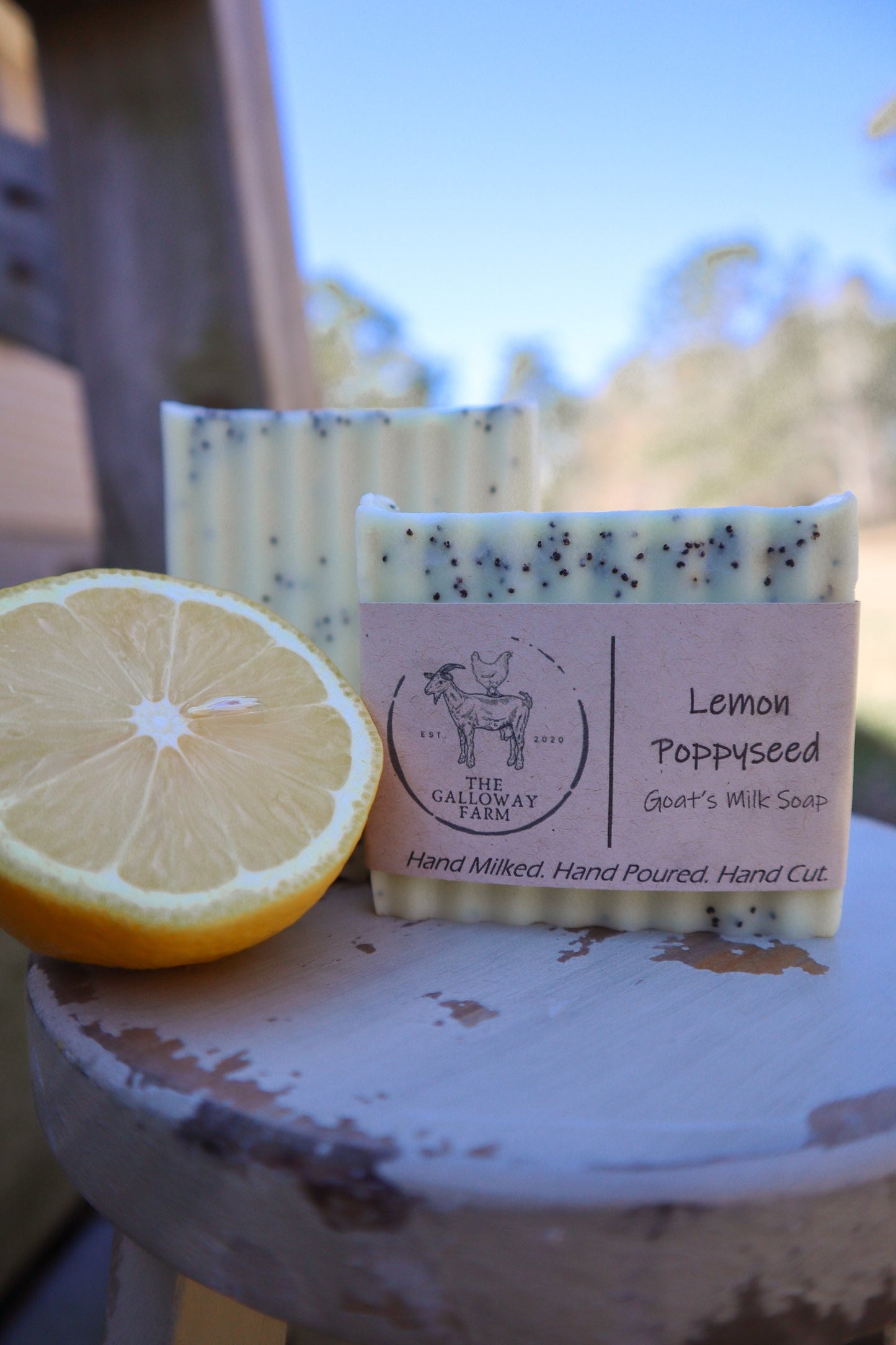 Lemon Poppyseed Goat's Milk Soap